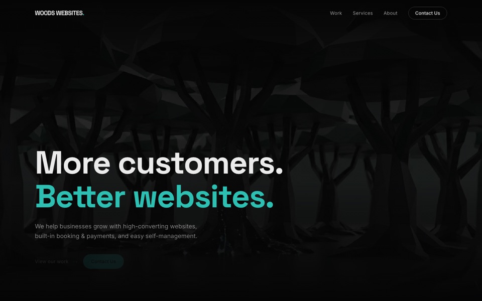 Woods Websites homepage — More customers. Better websites.
